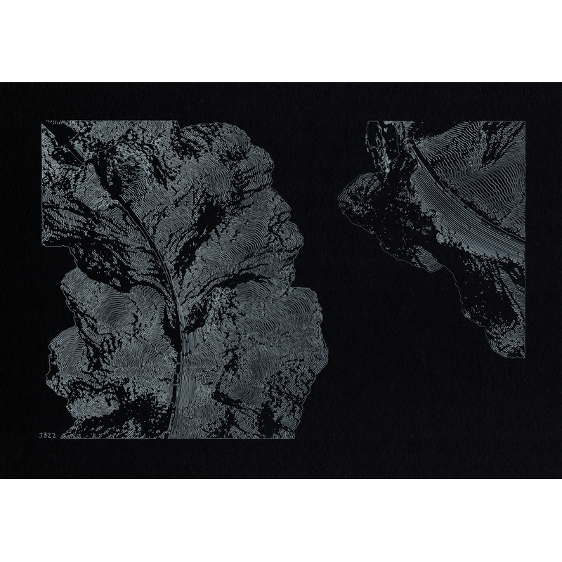 Scattered Archipelago