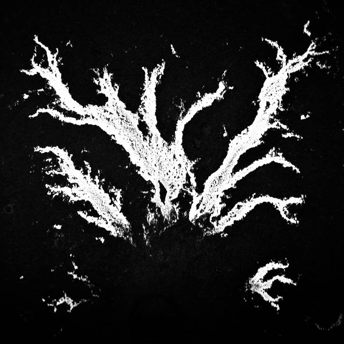 J3ZZ performing immersive audiovisual set with living organisms as sound sources