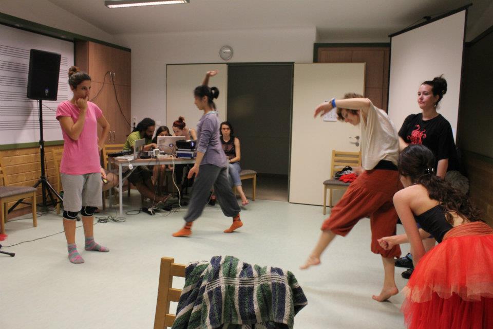 Talking heArts — Early collaboration, Snetberger Center, Hungary, August 2011