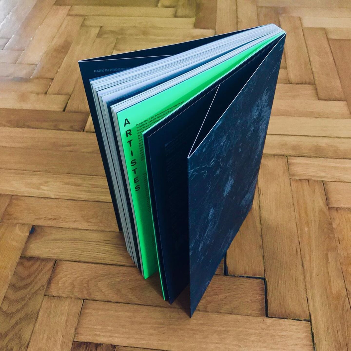 PARK IN PROGRESS (image 7)