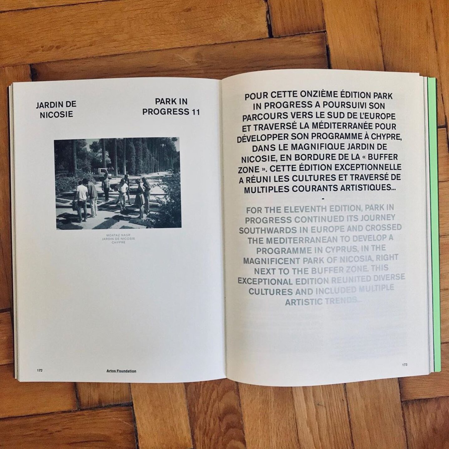 PARK IN PROGRESS (image 8)