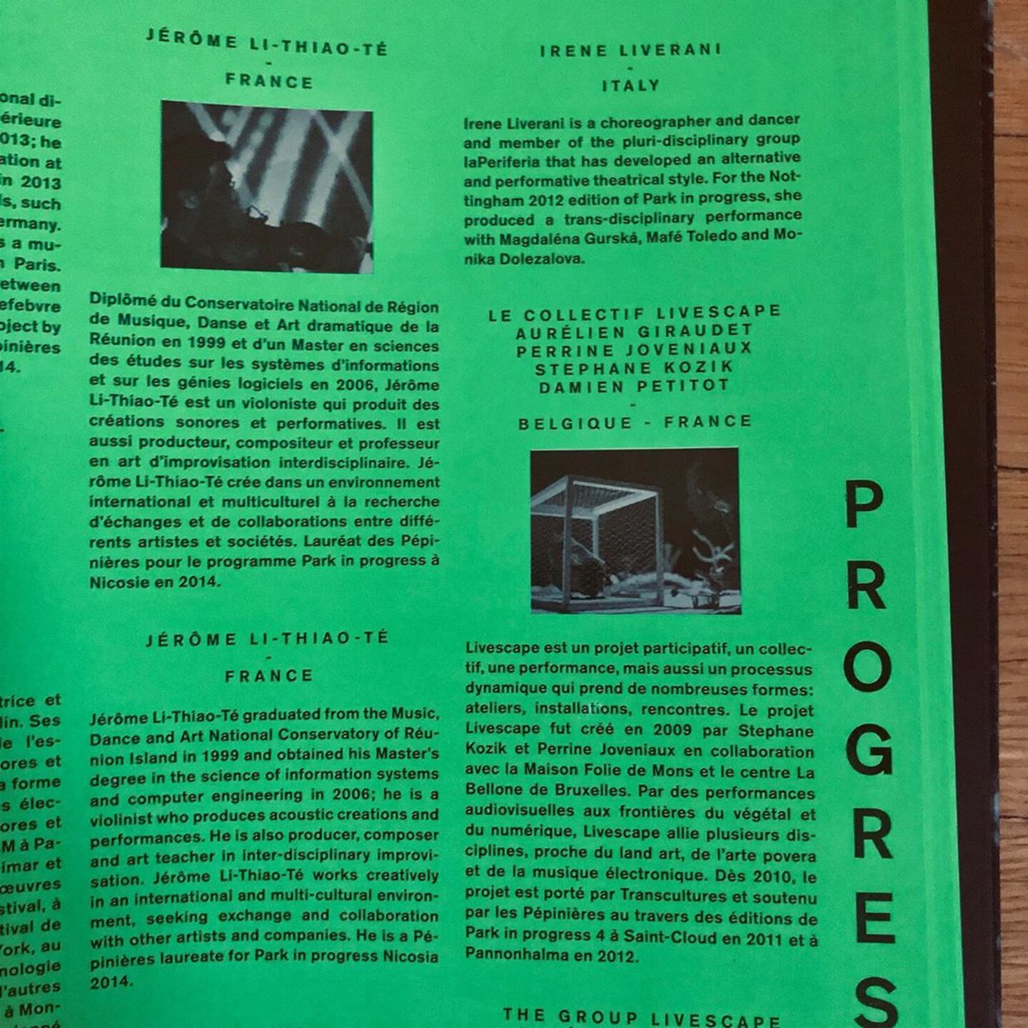 PARK IN PROGRESS (image 10)